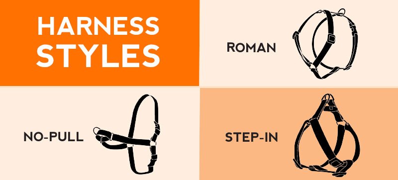 Harness Styles